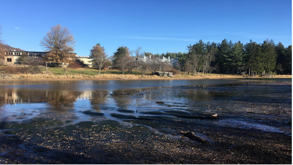 Arrowhead Cove at low water levels