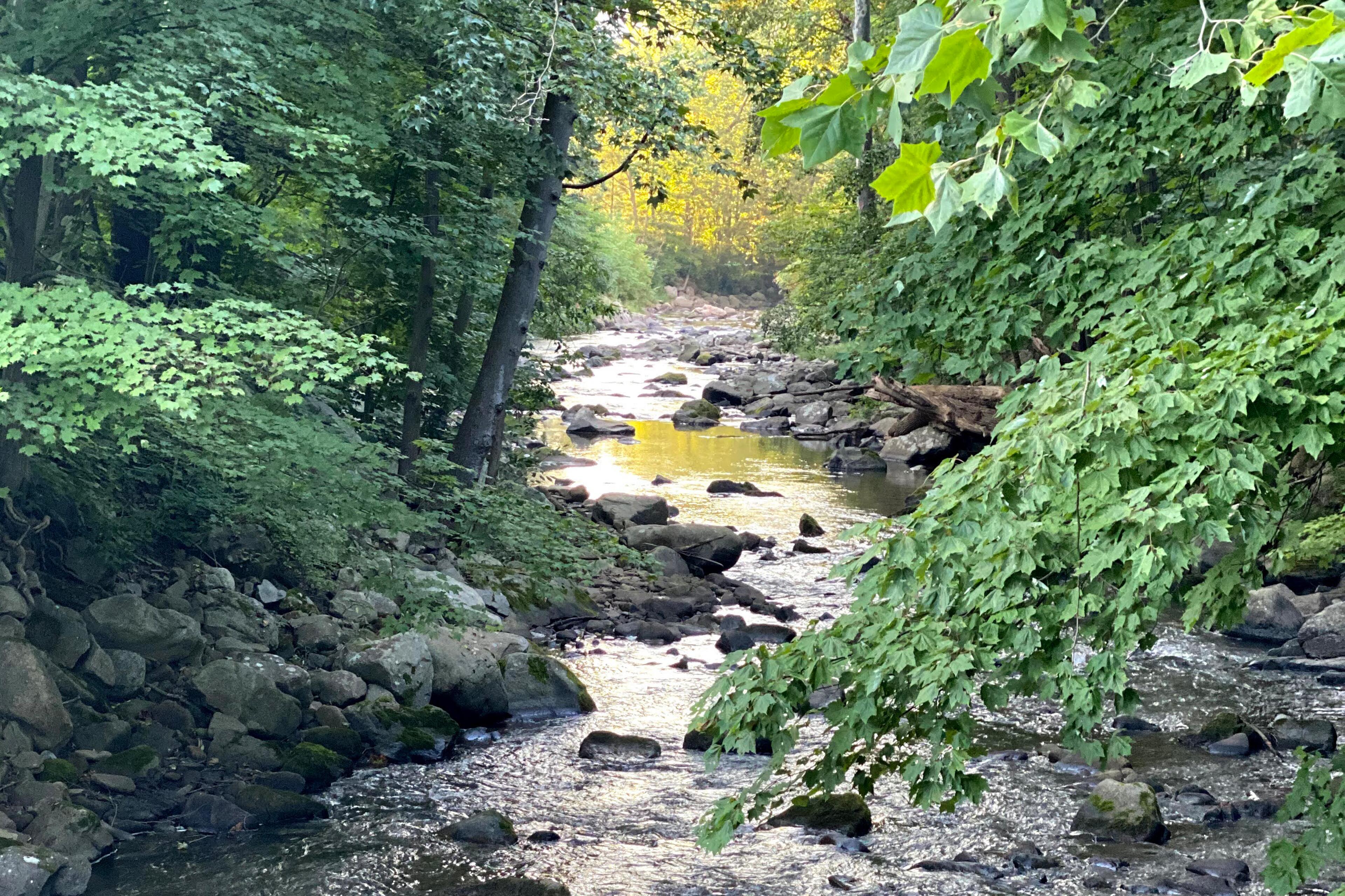 Bear Creek in Friendsville, Maryland