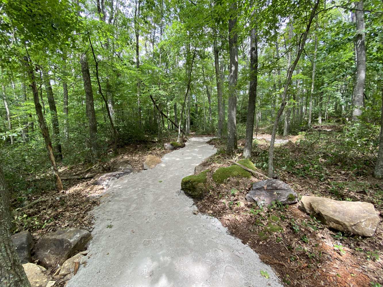 Fork Run Accessible Trail