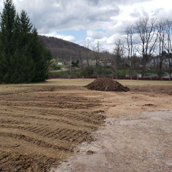 Upland Restoration