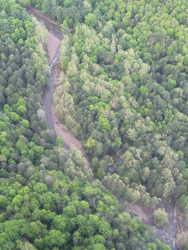 Savage River Road by Justin Orendorf from Trooper 5